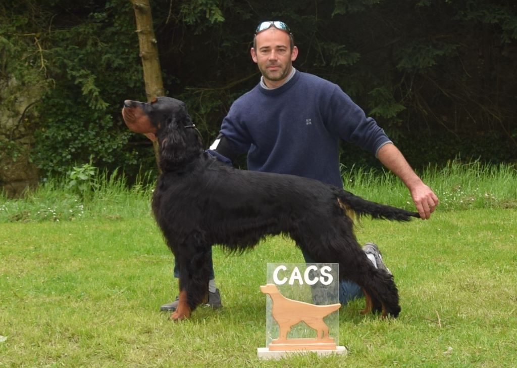 Du Roux-miroir - Butch Cassidy remporte le CACS à la 40e Nationale d'Elevage