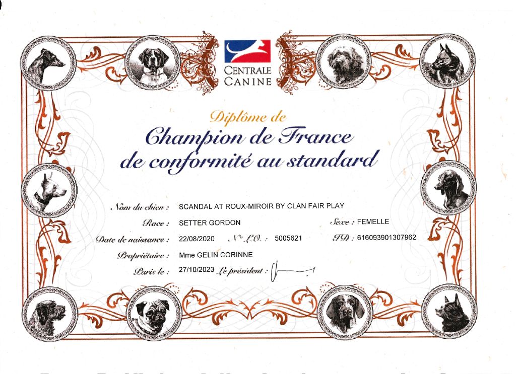 Du Roux-miroir - Scandal Championne de France de Conformité au Standard 