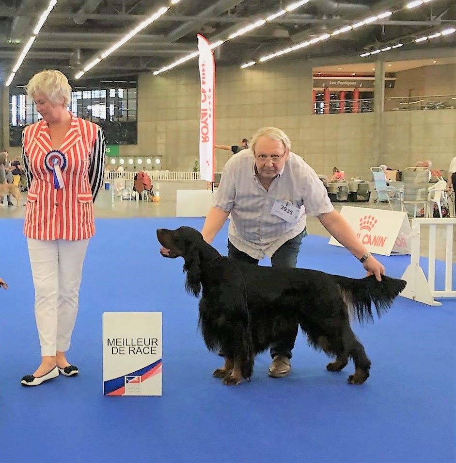 Du Roux-miroir - Sundance devient Champion de France de Conformité au Standard 