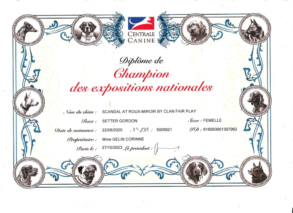 Du Roux-miroir - Scandal Championne des Expositions Nationales