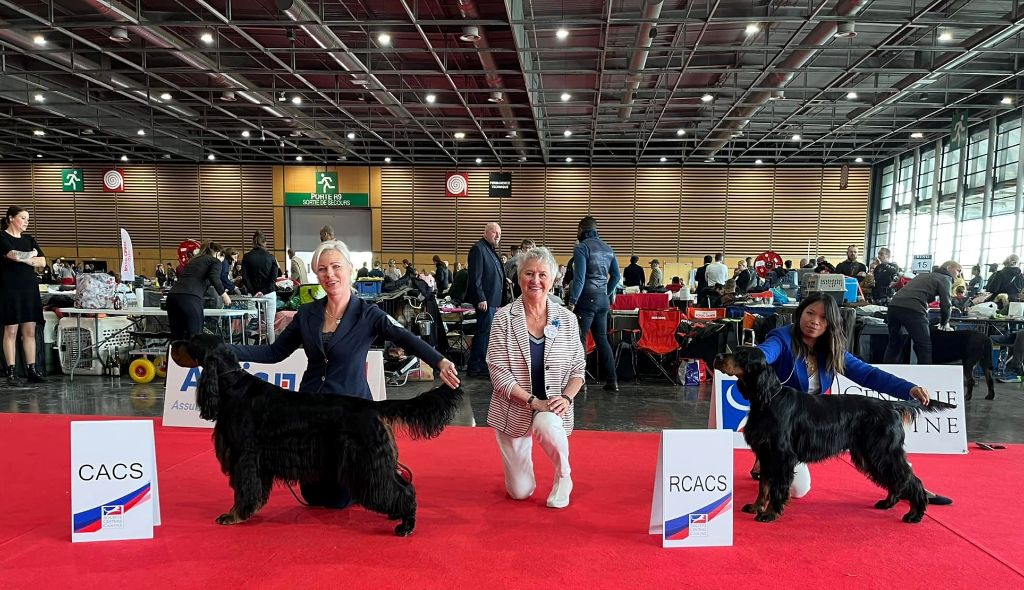 Du Roux-miroir - Scandal RCACS à l'European Dog Show Paris 2022