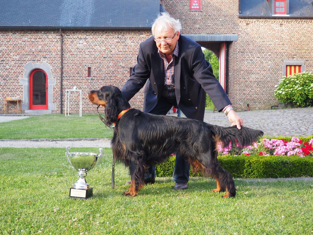 Du Roux-miroir - Sundance Meilleur Chien de Chasse Britannique 2017