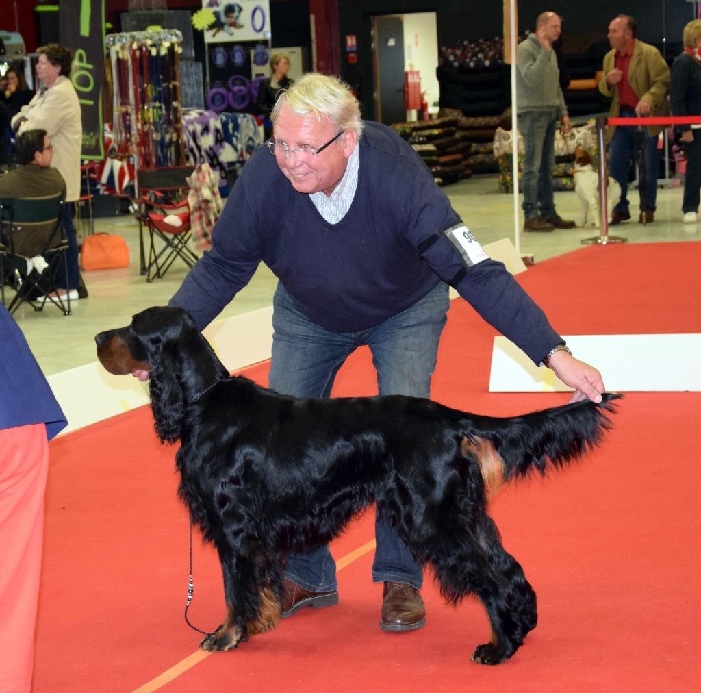 Du Roux-miroir - Amscot Cheyenne Poacher devient Champion International d'Exposition